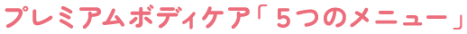 プレミアムボディケア「５つのメニュー」