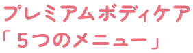 プレミアムボディケア「５つのメニュー」