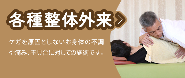 各種整体外来:ケガを原因としないお身体の不調や痛み、不具合に対しての施術です。